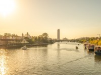 1780991455_elf-sevilla-486.jpg